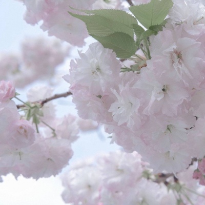 大田福瑞交流群